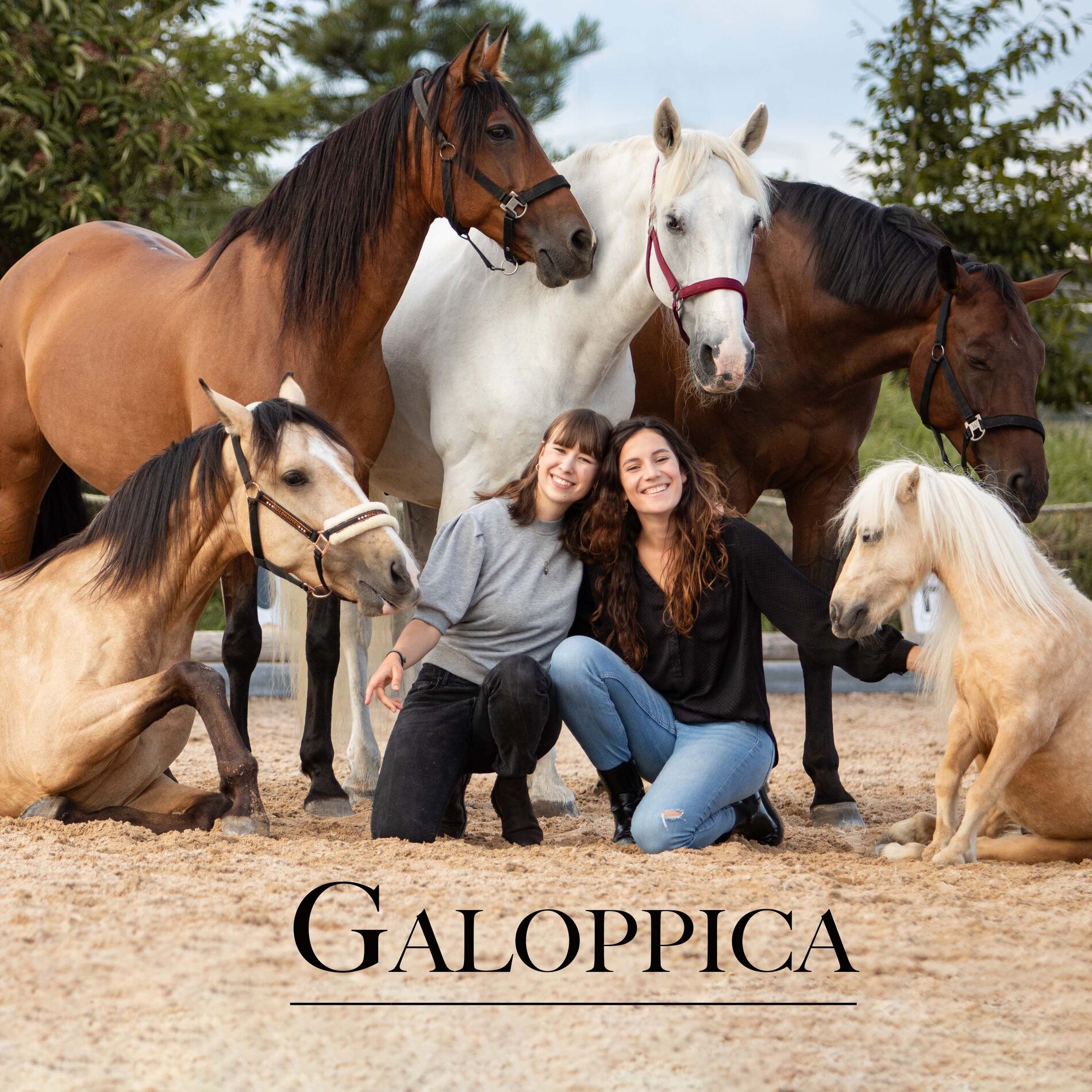 Show cover of Galoppica