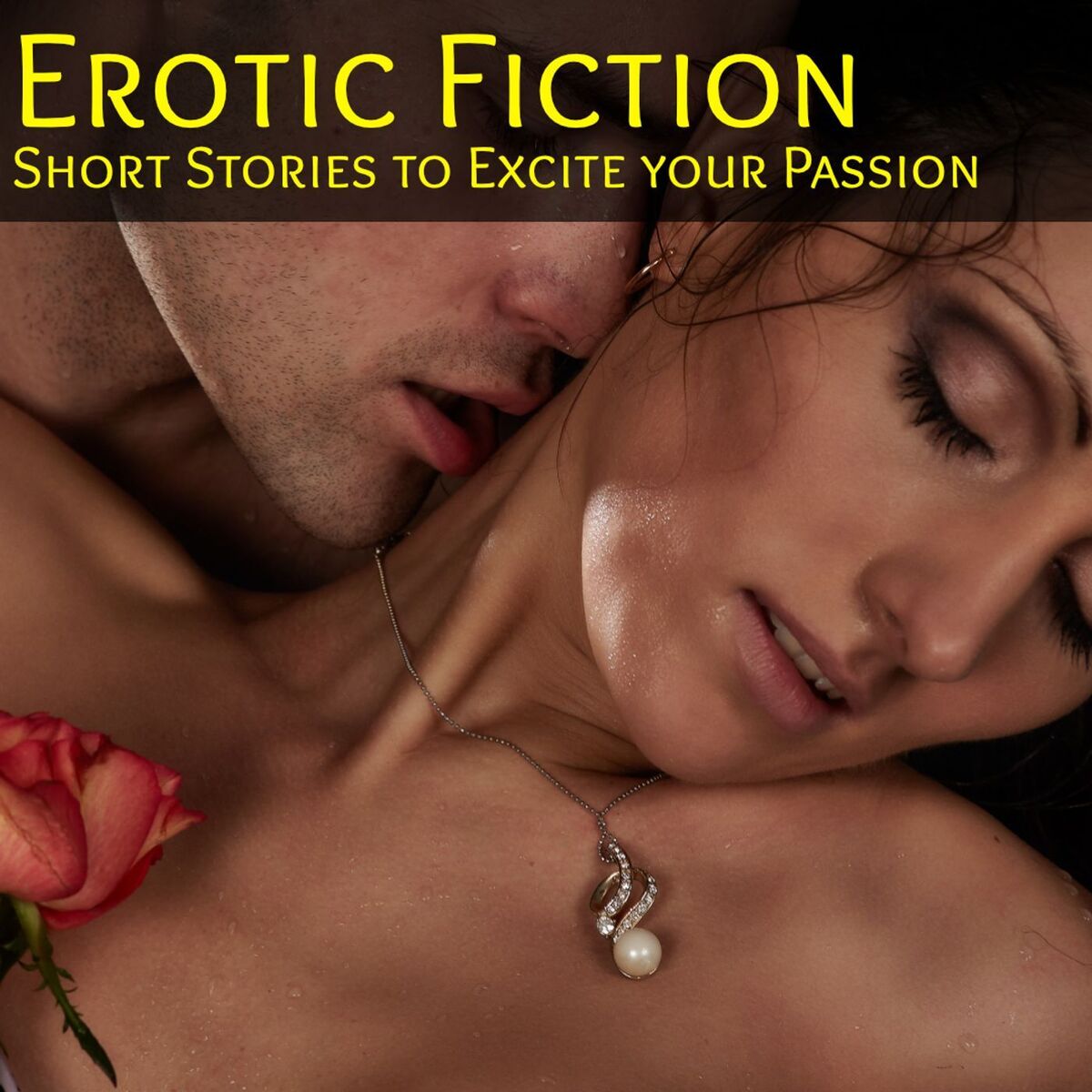 Show cover of Erotic Fiction