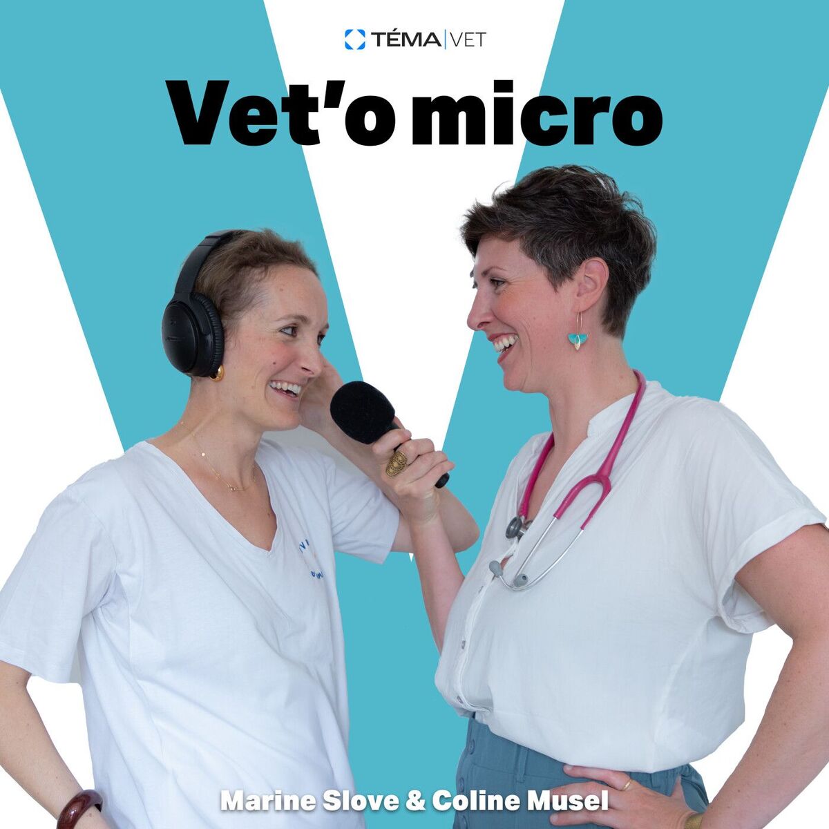 Show cover of Vet'o micro