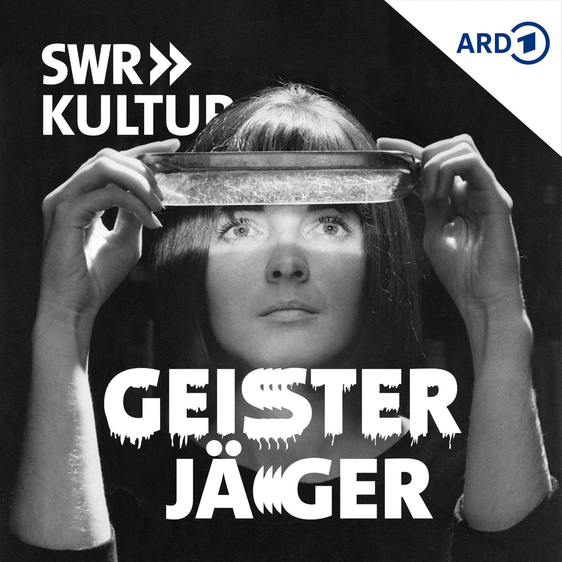 Show cover of Geisterjäger
