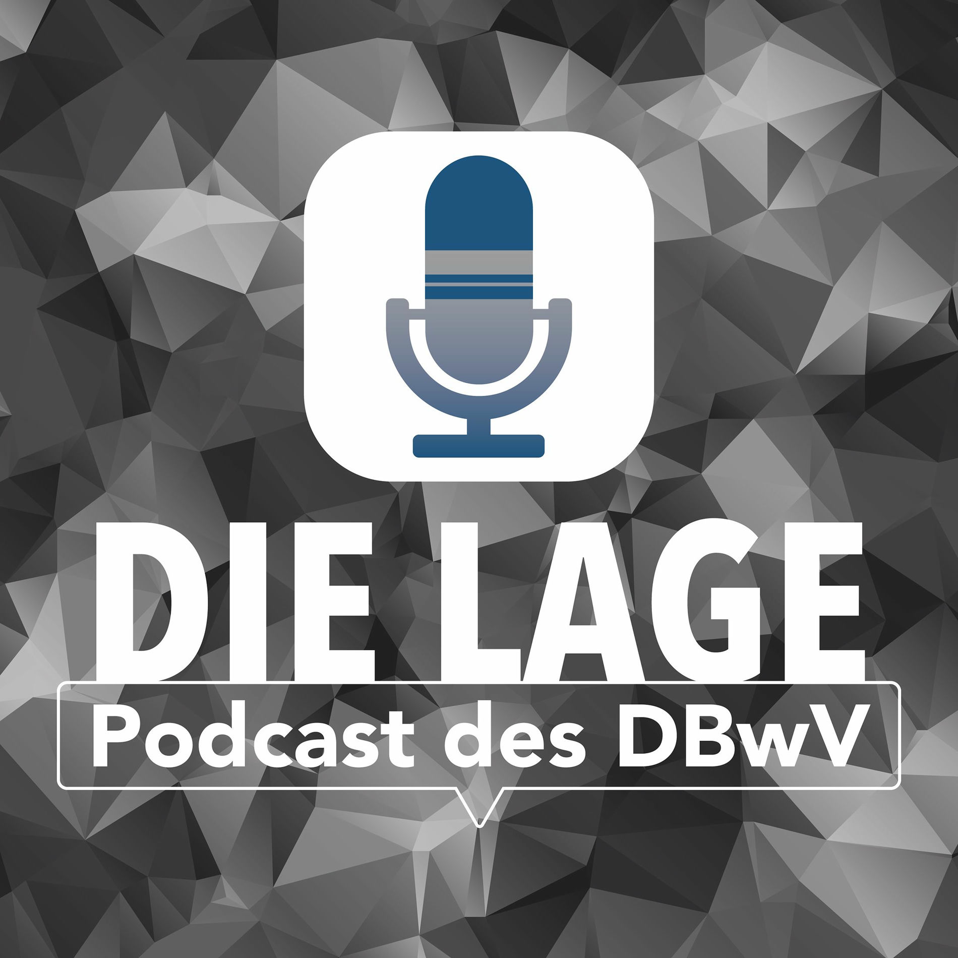 Show cover of Die Lage-Podcast des Deutschen BundeswehrVerbandes