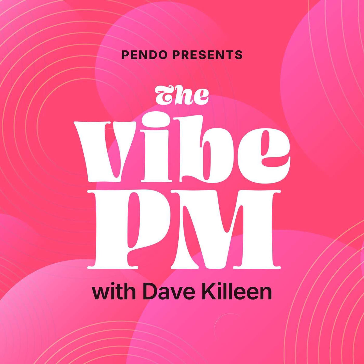 Show cover of The Vibe PM