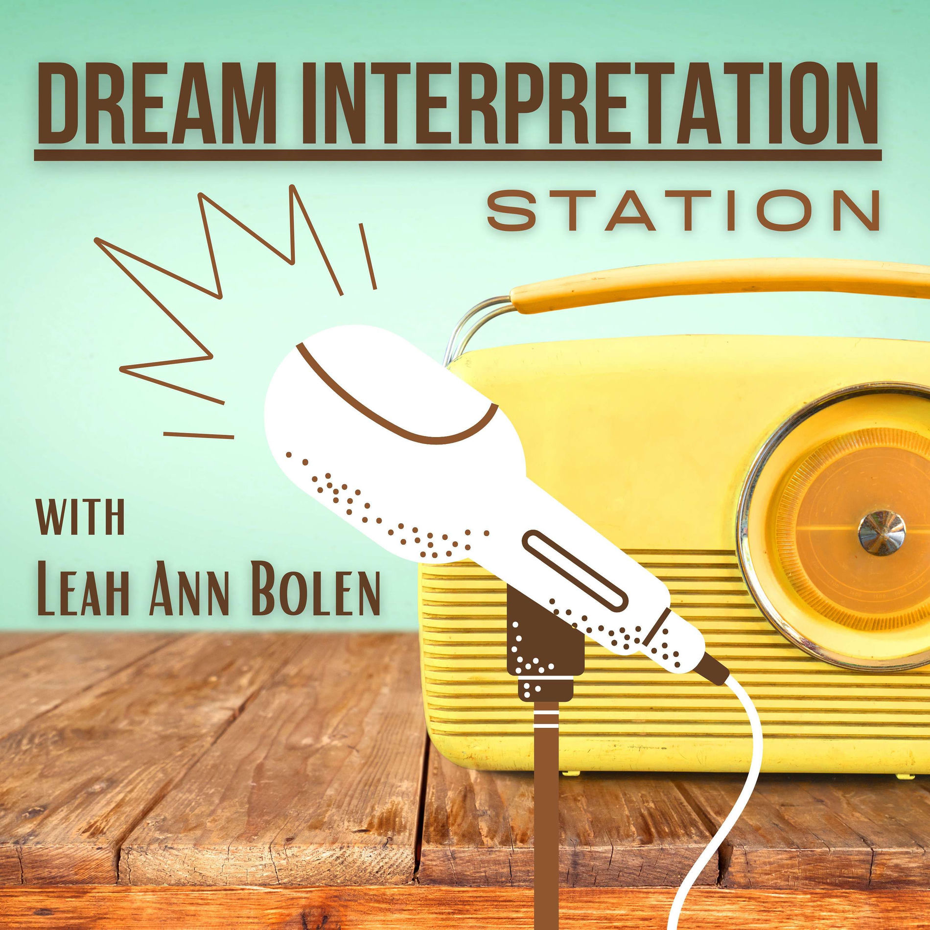 Show cover of Dream Interpretation Station