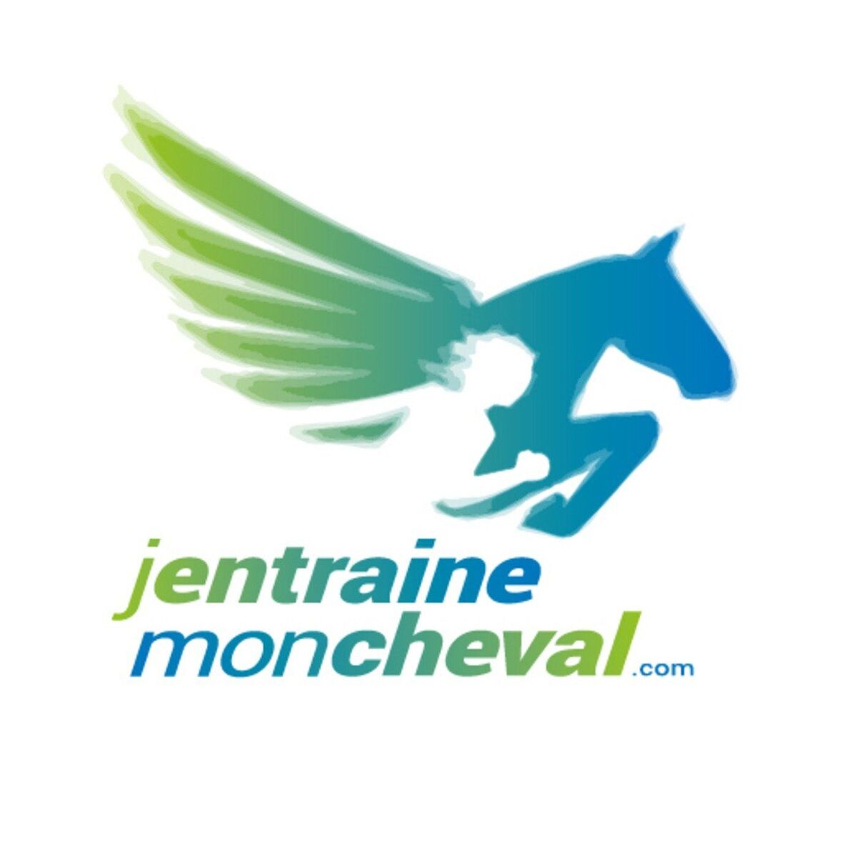 Show cover of J'entraîne mon cheval- le podcast