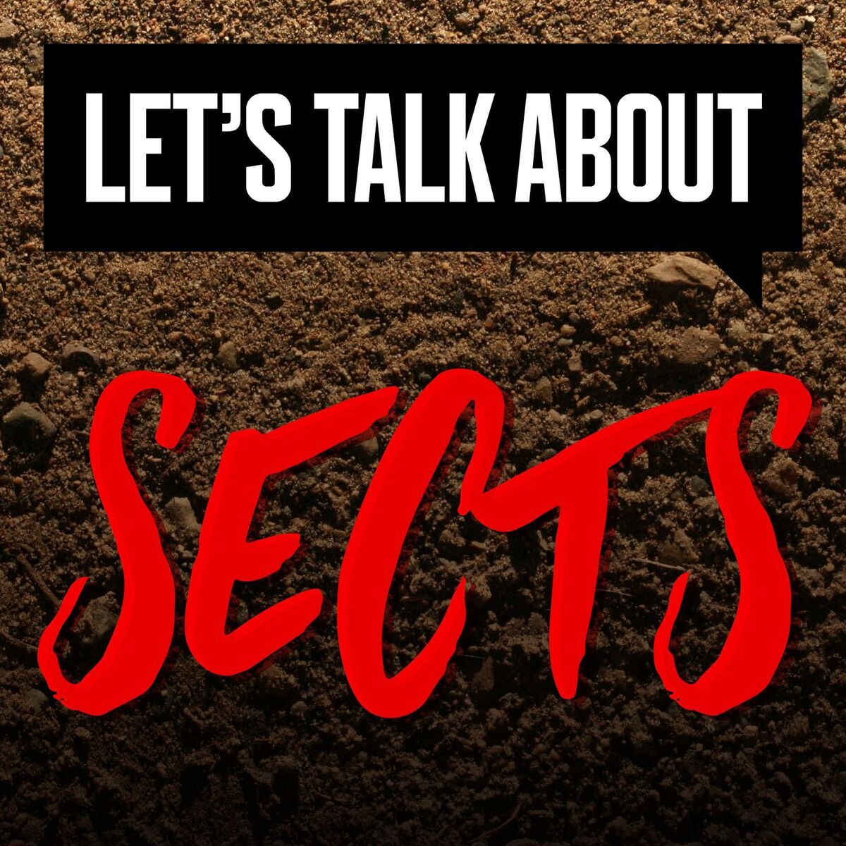 Show cover of Let's Talk About Sects