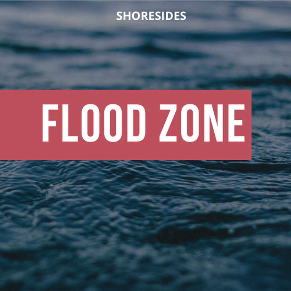 Show cover of Flood Zone