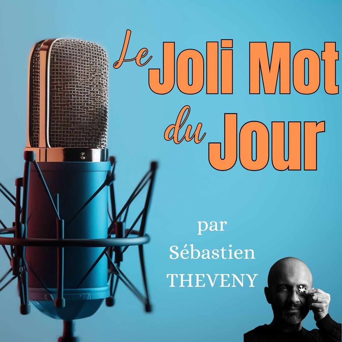 Show cover of JMJ - Le Joli Mot du Jour - par Sébastien Theveny