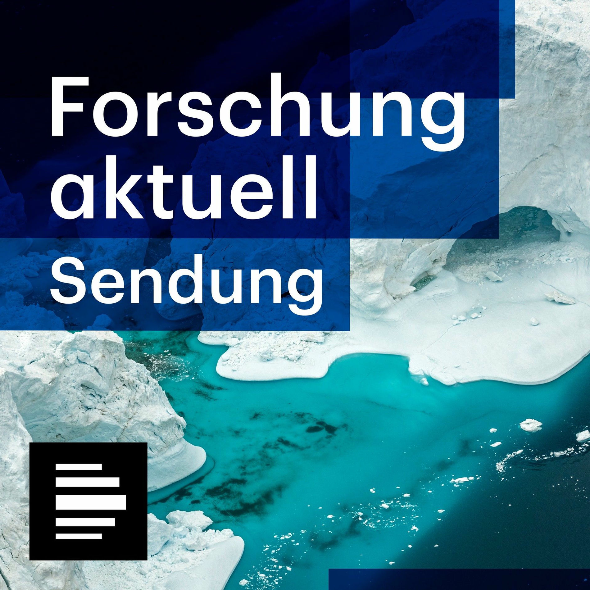 Show cover of Forschung aktuell