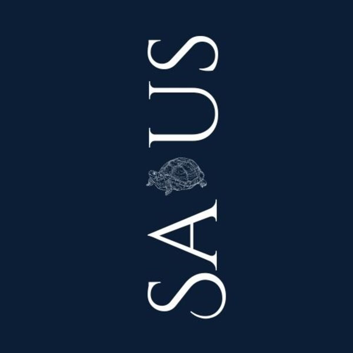 Show cover of Salus in Caritate - Ana Paula Barros