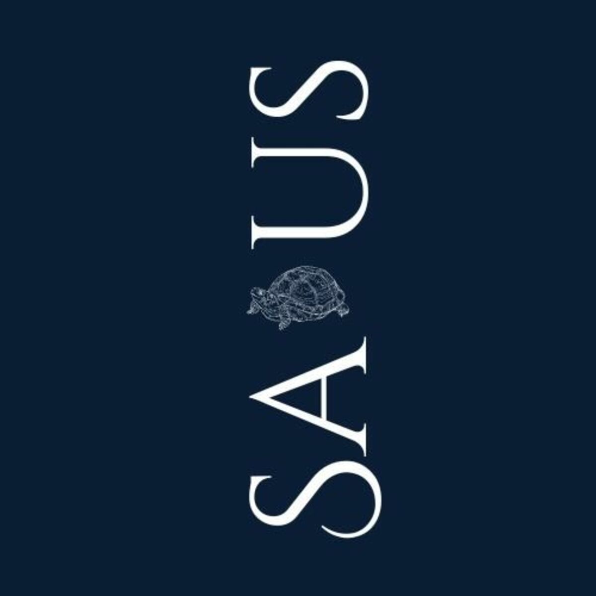 Show cover of Salus in Caritate - Ana Paula Barros