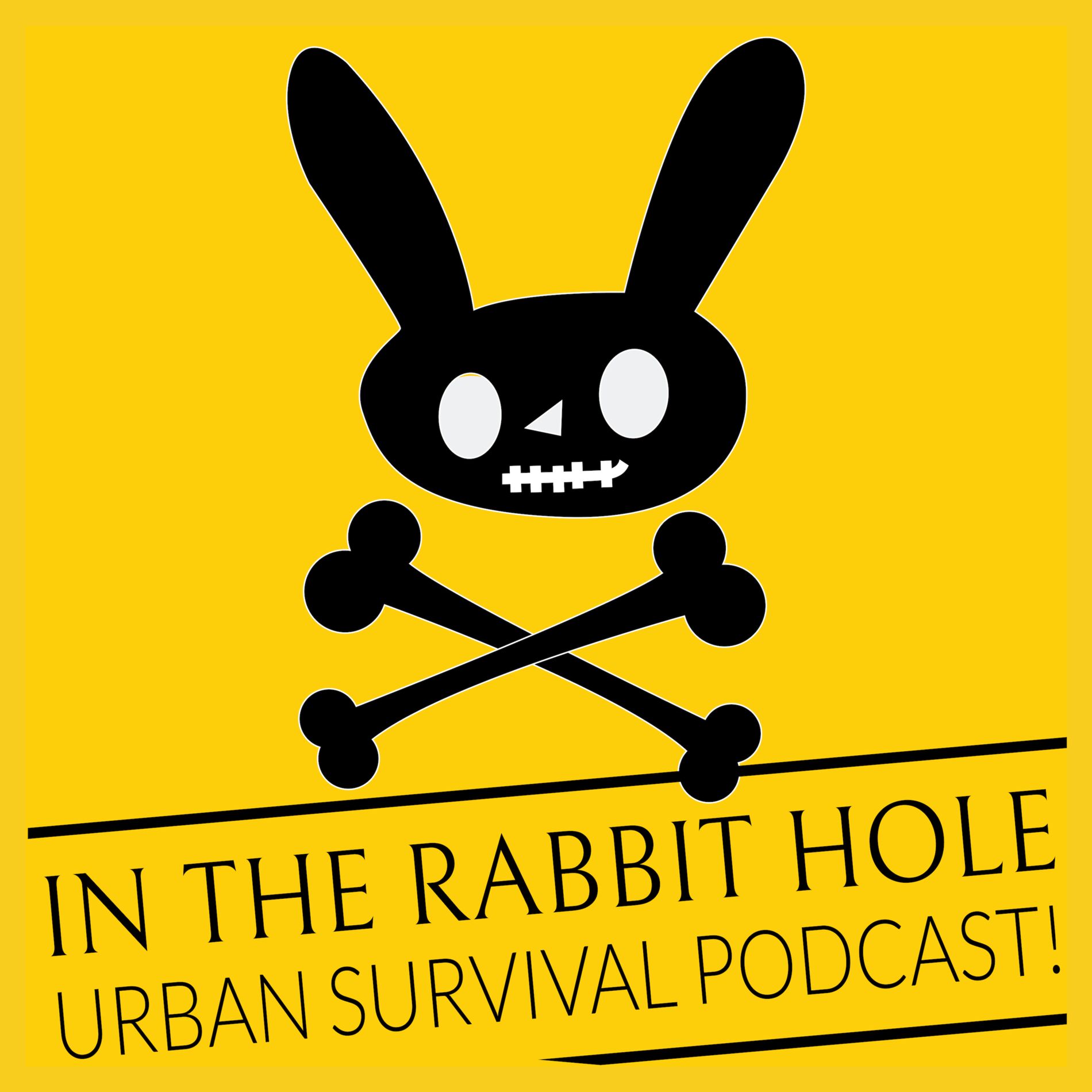 Show cover of In The Rabbit Hole