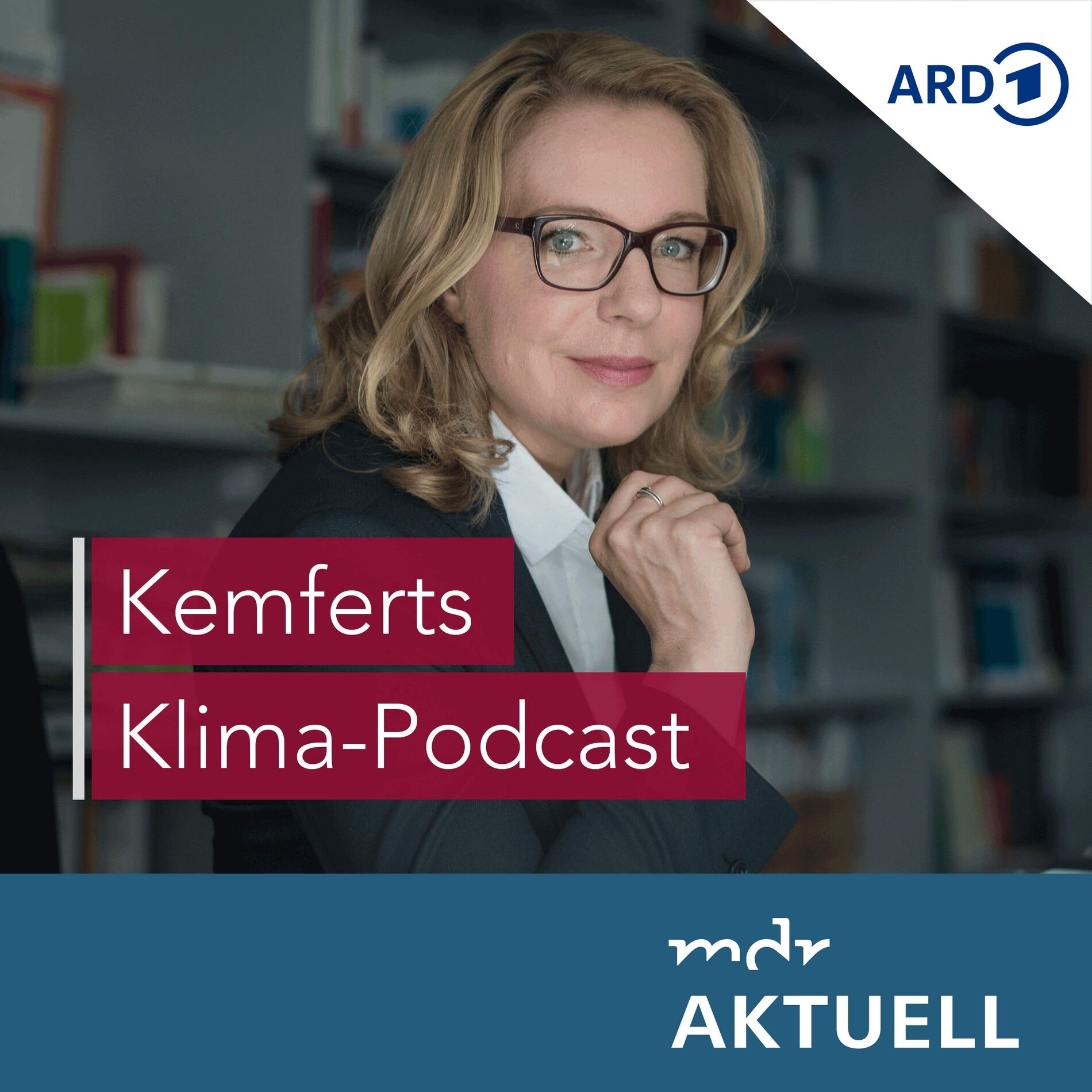 Show cover of Kemferts Klima-Podcast