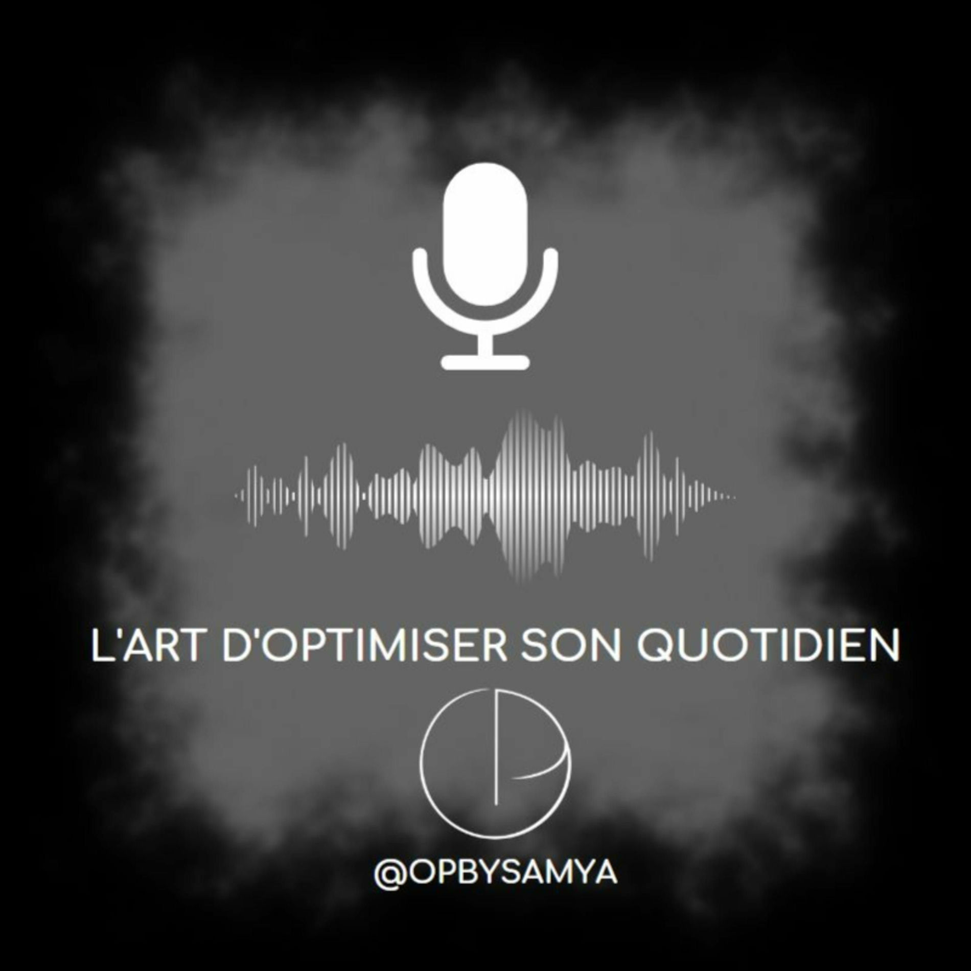 Show cover of L'art d'optimiser son quotidien