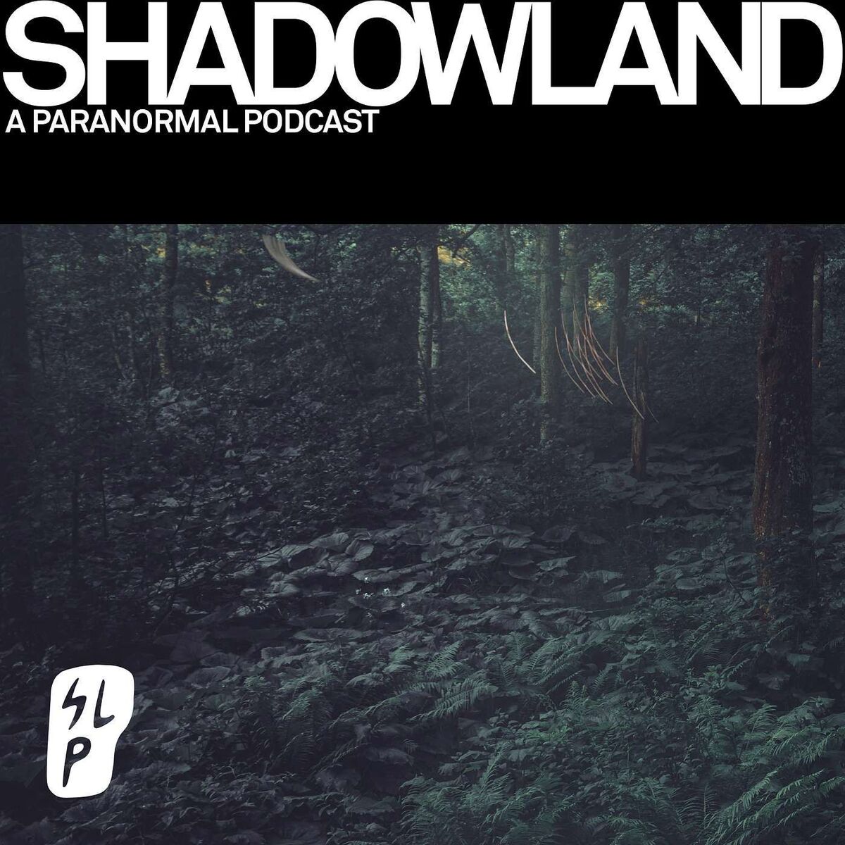 Show cover of Shadowland