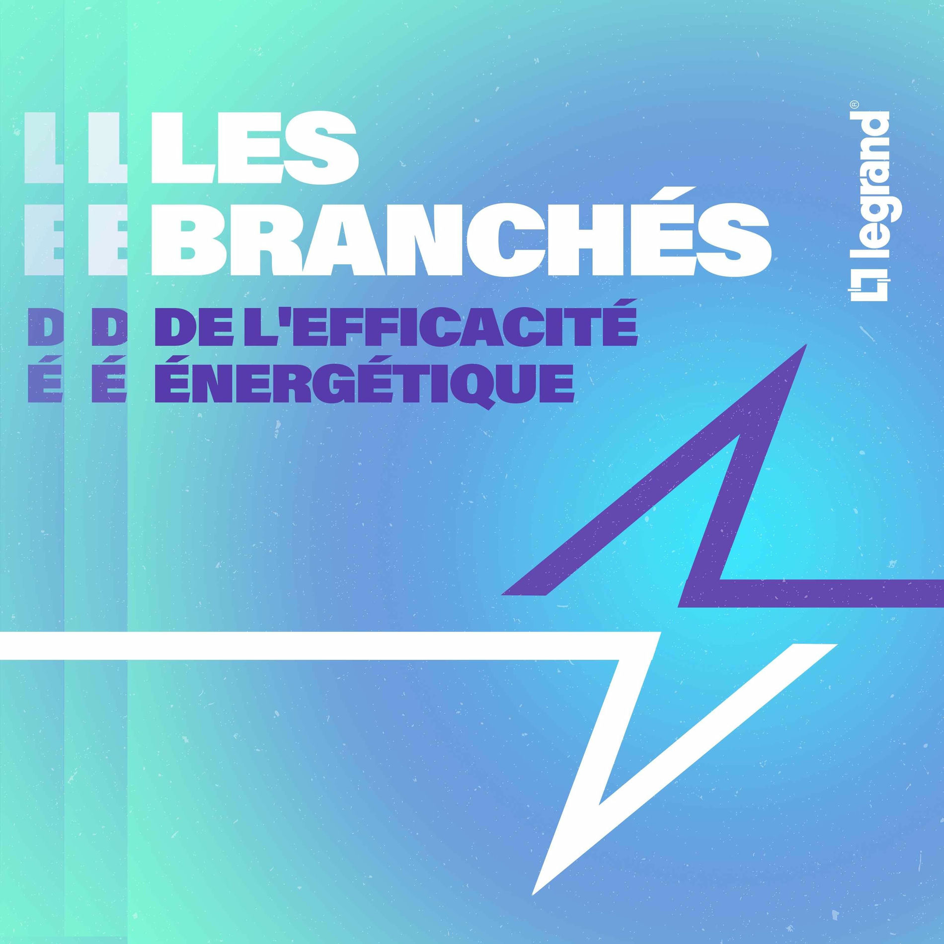 Show cover of Les branchés de l'efficacité énergétique