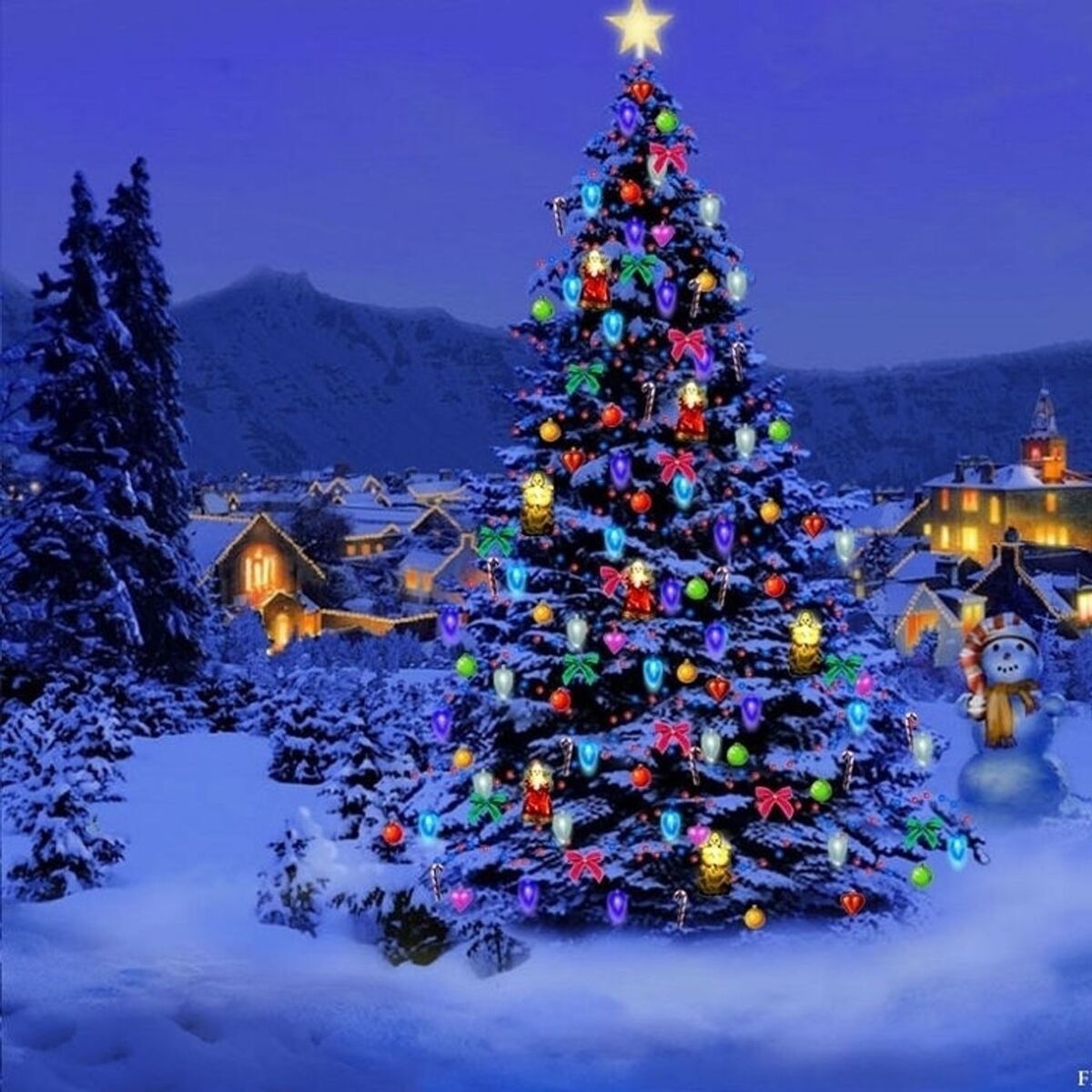 Show cover of Il Natale di Ameria Radio