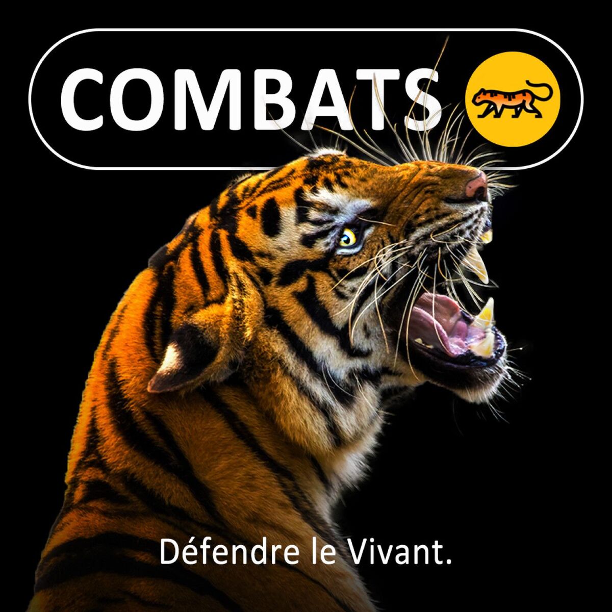 Show cover of Combats
