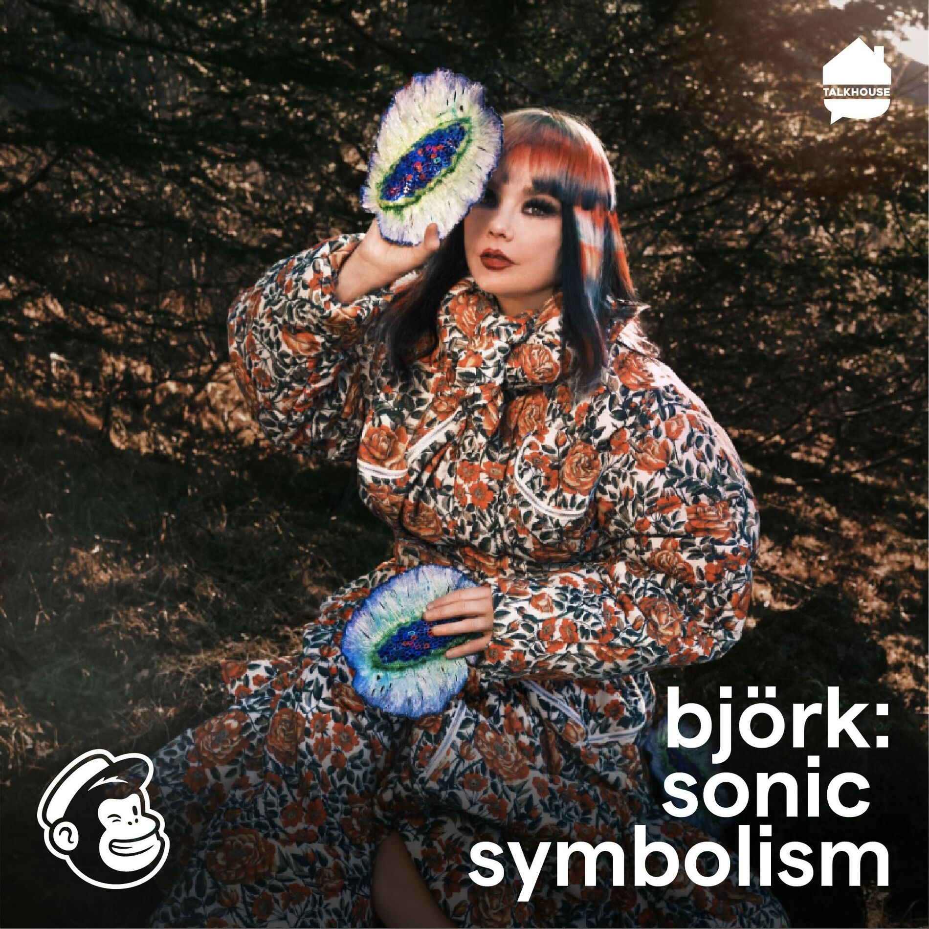 Show cover of Björk: Sonic Symbolism