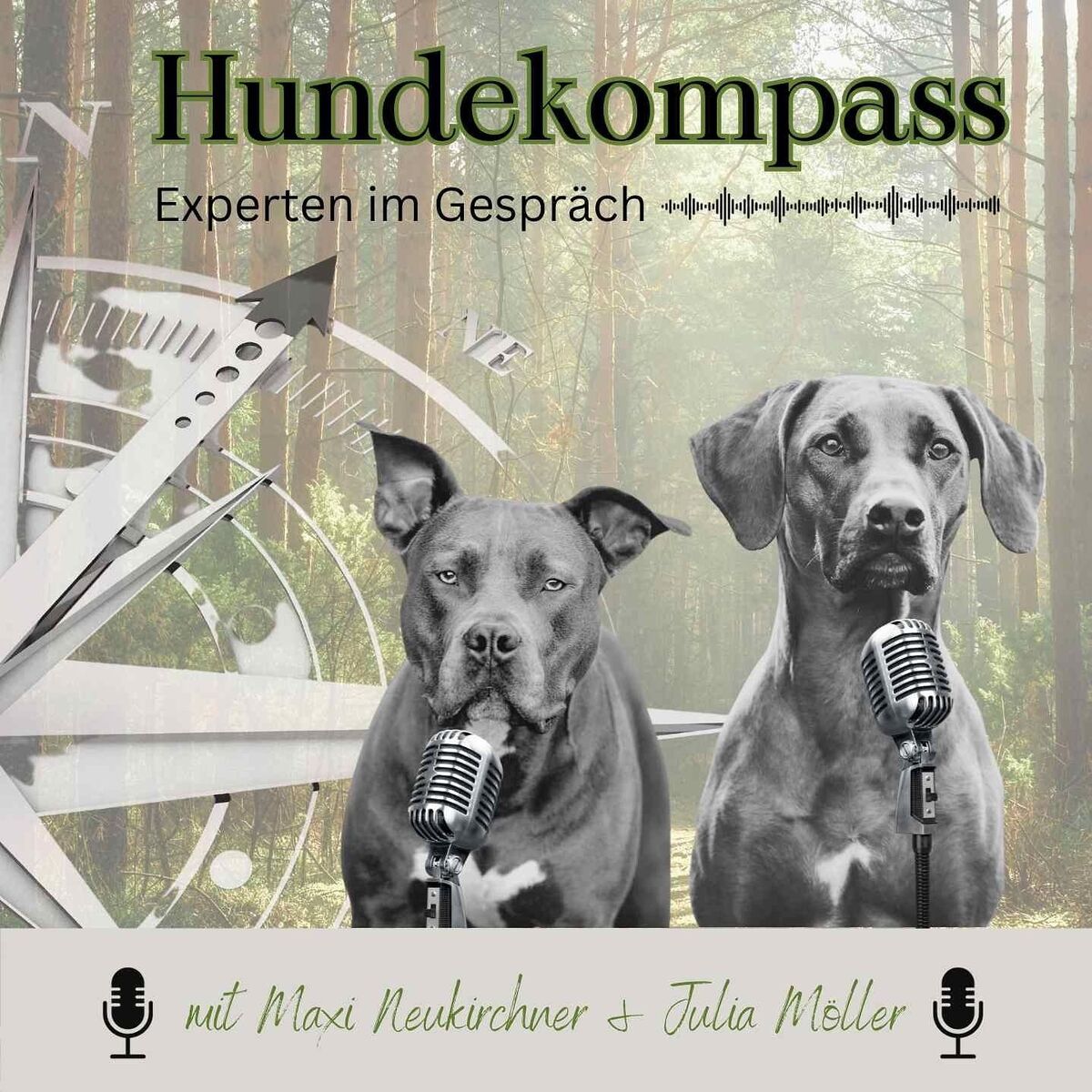 Show cover of Hundekompass