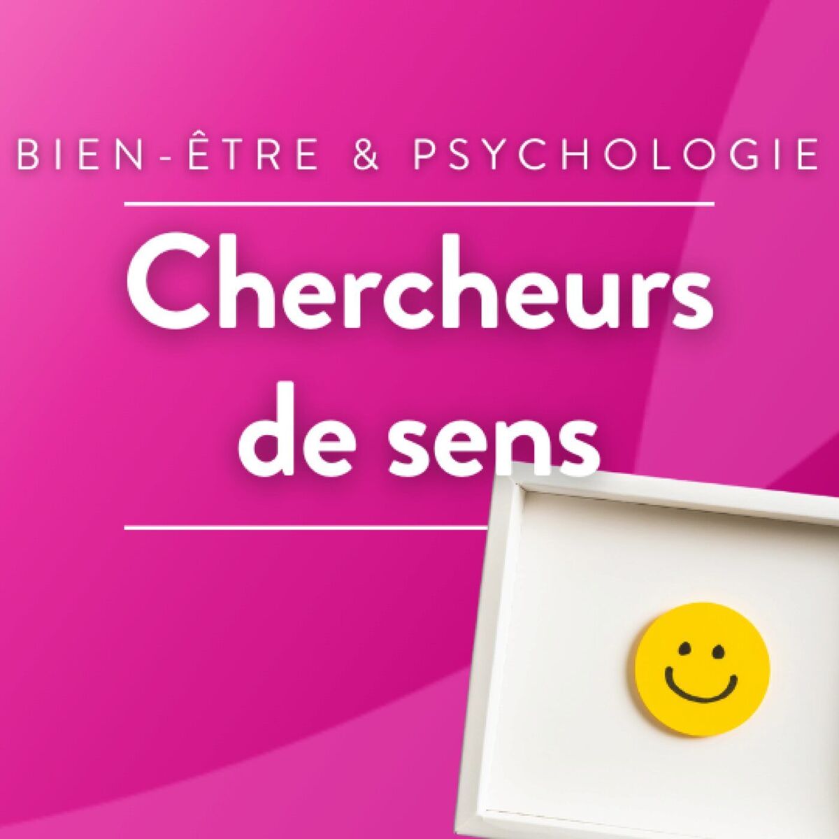 Show cover of Chercheurs de Sens
