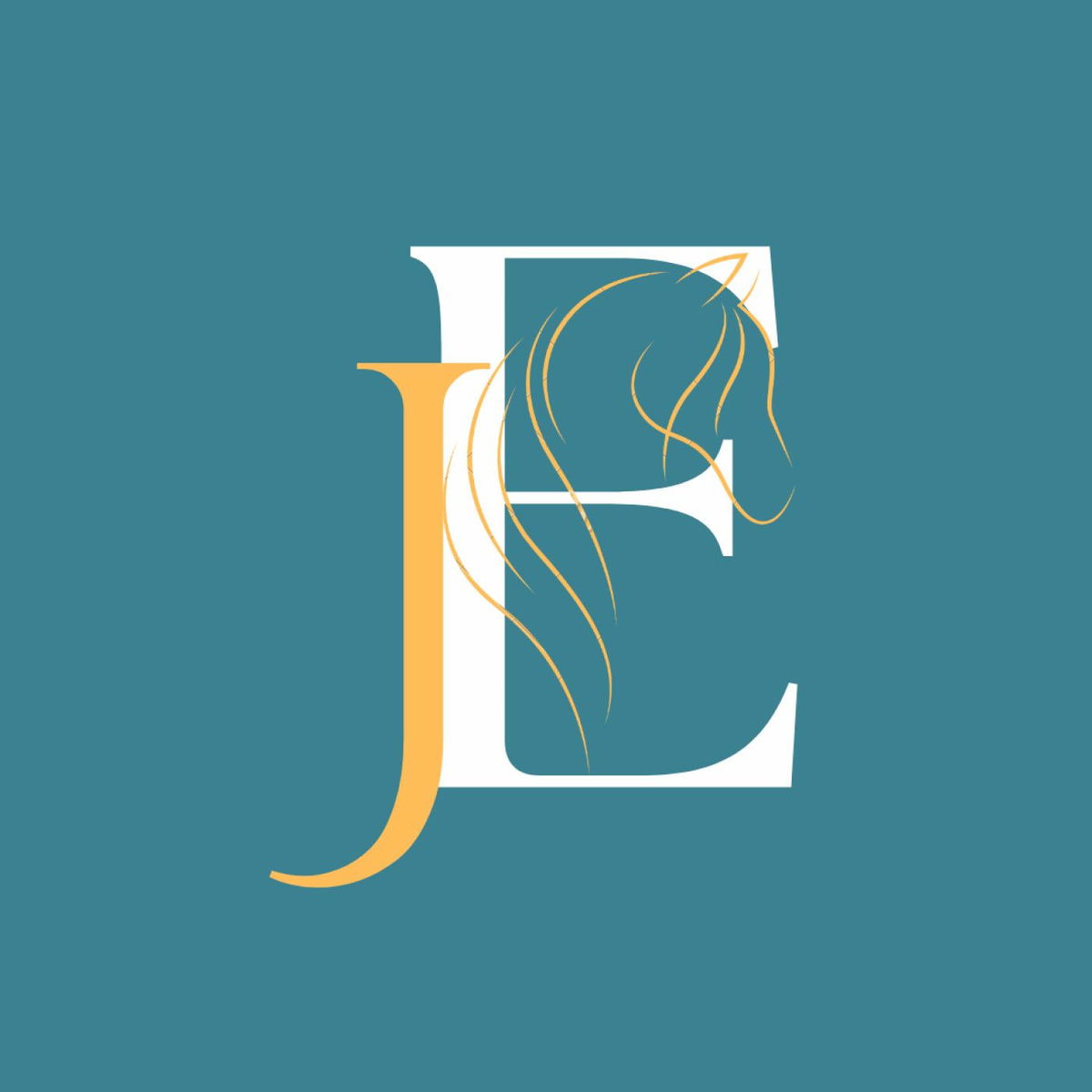 Show cover of Journal d'Endurance