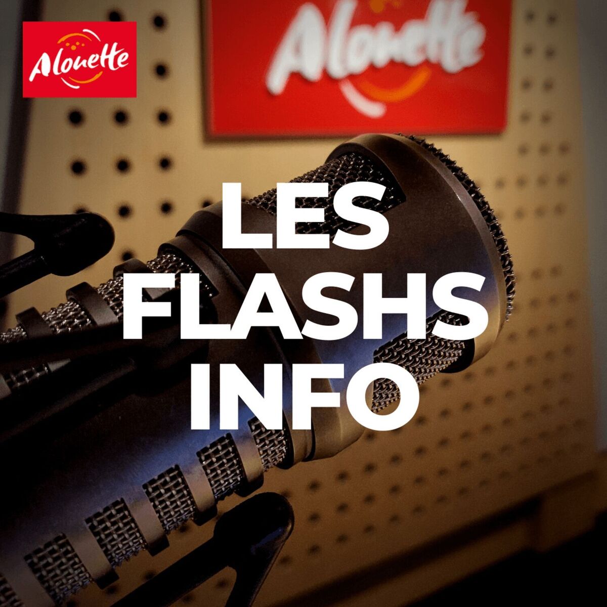 Show cover of Les flashs Info