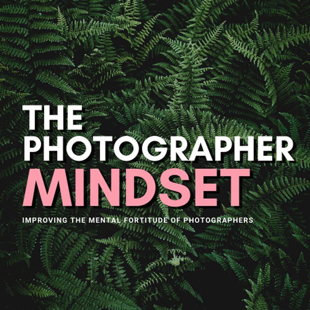 Show cover of The Photographer Mindset