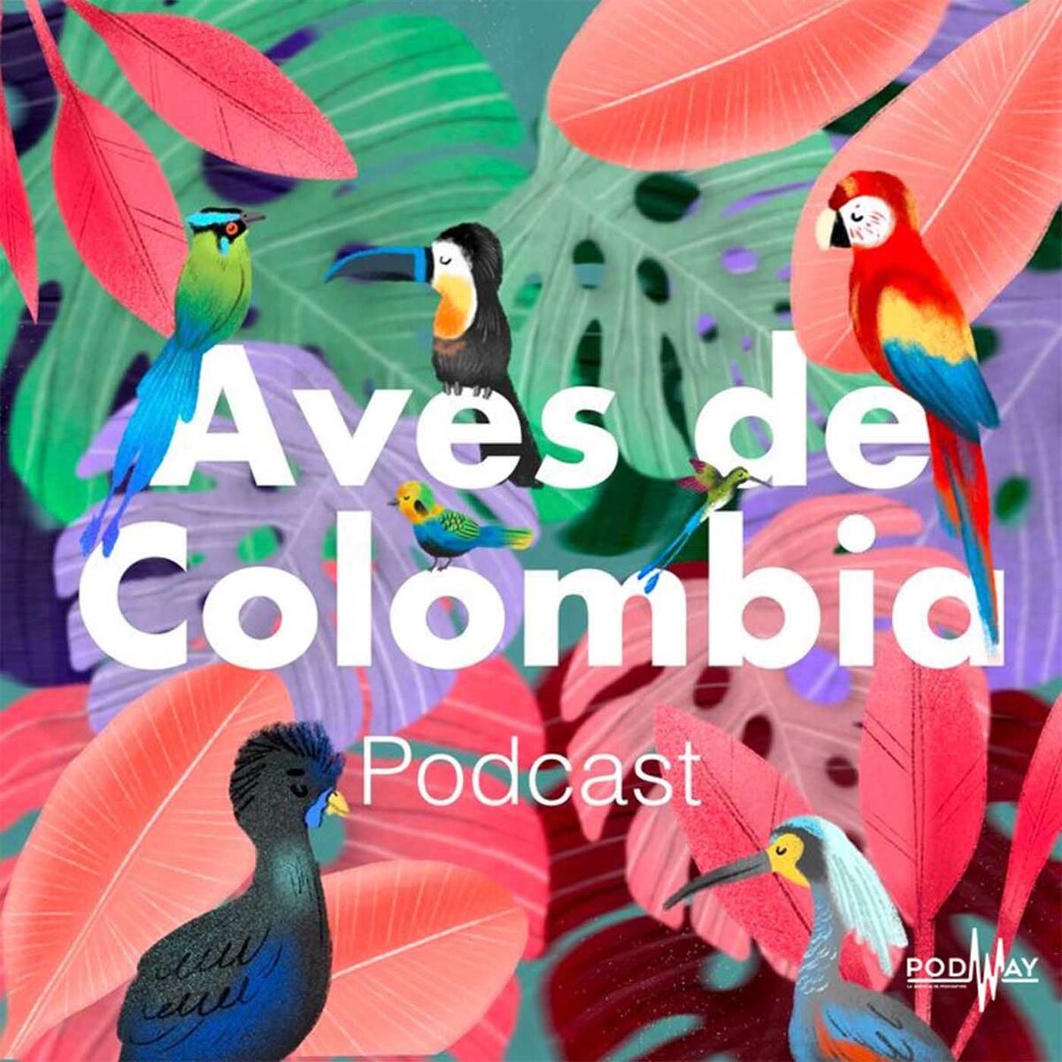 Show cover of Aves de Colombia