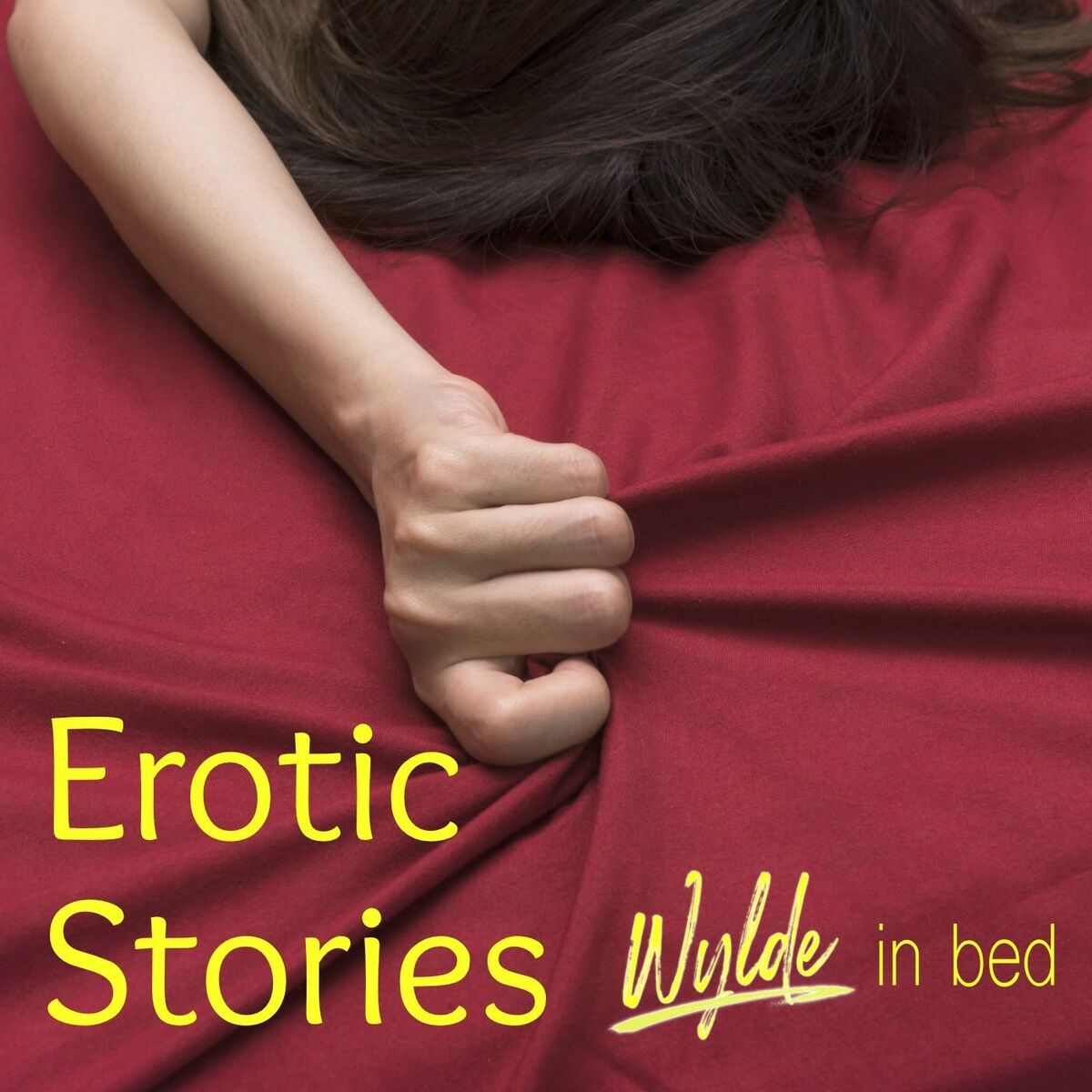 Show cover of Erotic Stories from Wylde in Bed