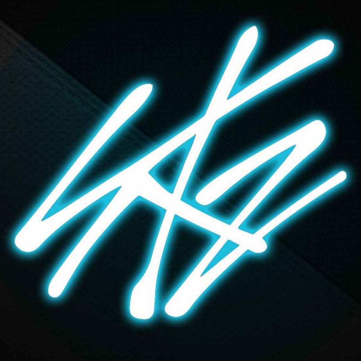 Show cover of Stray Kids Player/Record