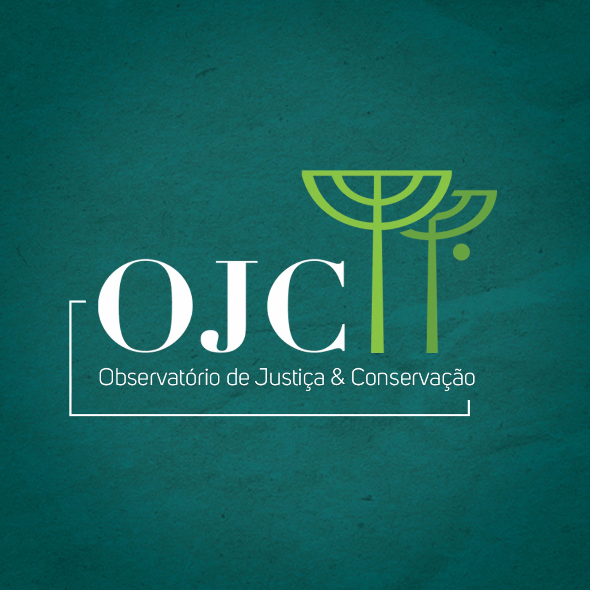 Show cover of Justiça e Conservação - Meio ambiente