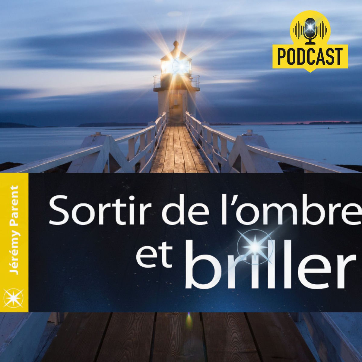 Show cover of Sortir de l'ombre et briller