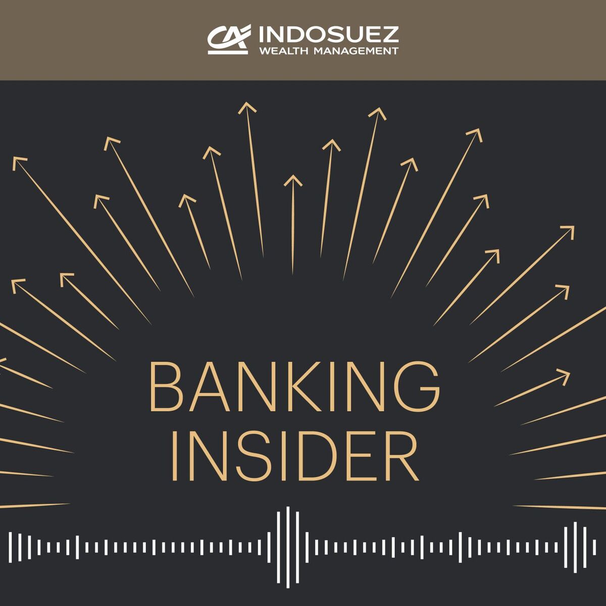 Show cover of Banking Insider