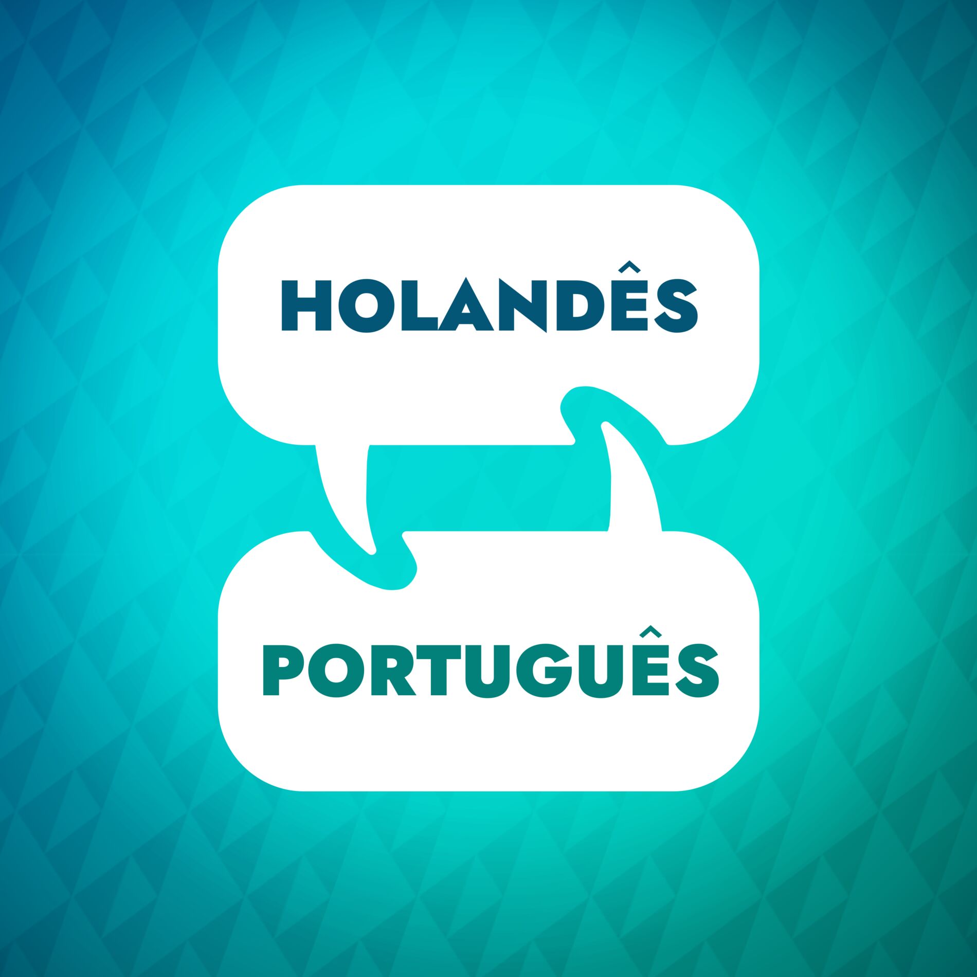 Show cover of Acelerador de aprendizagem holandês
