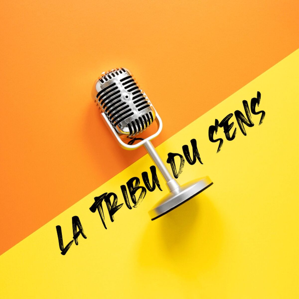 Show cover of La tribu du sens