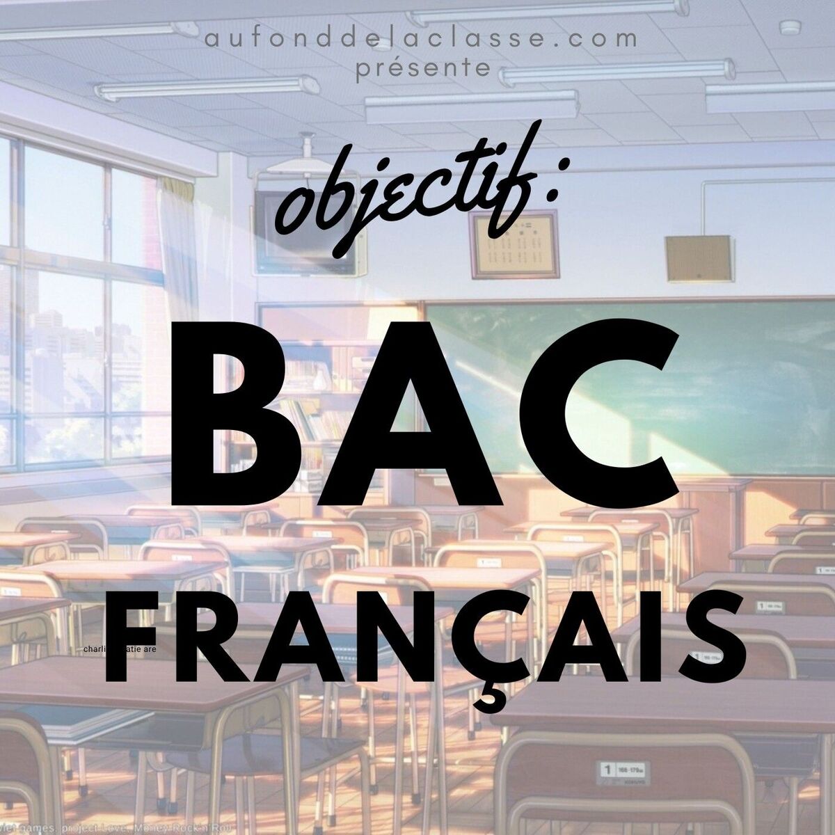 Show cover of Objectif : bac français !
