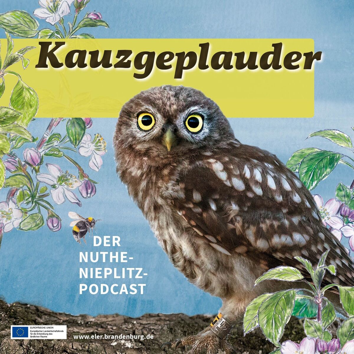 Show cover of Kauzgeplauder