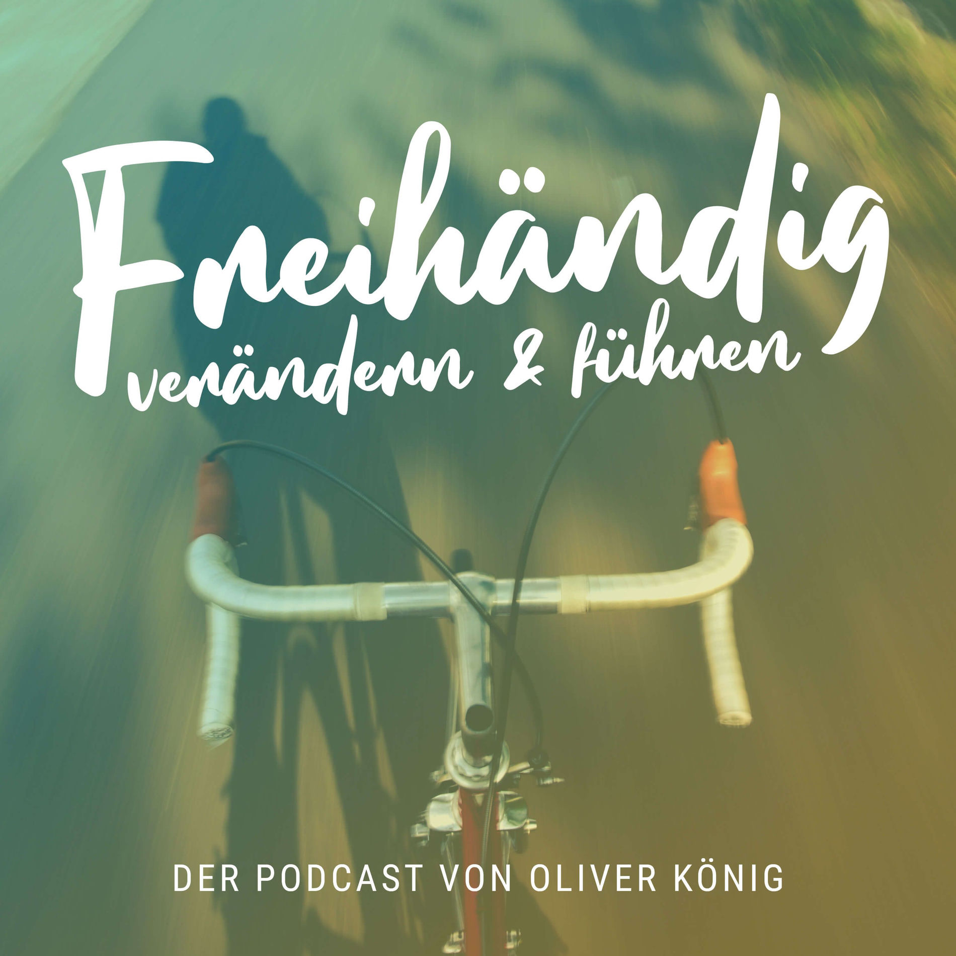 Show cover of Freihändig verändern und führen