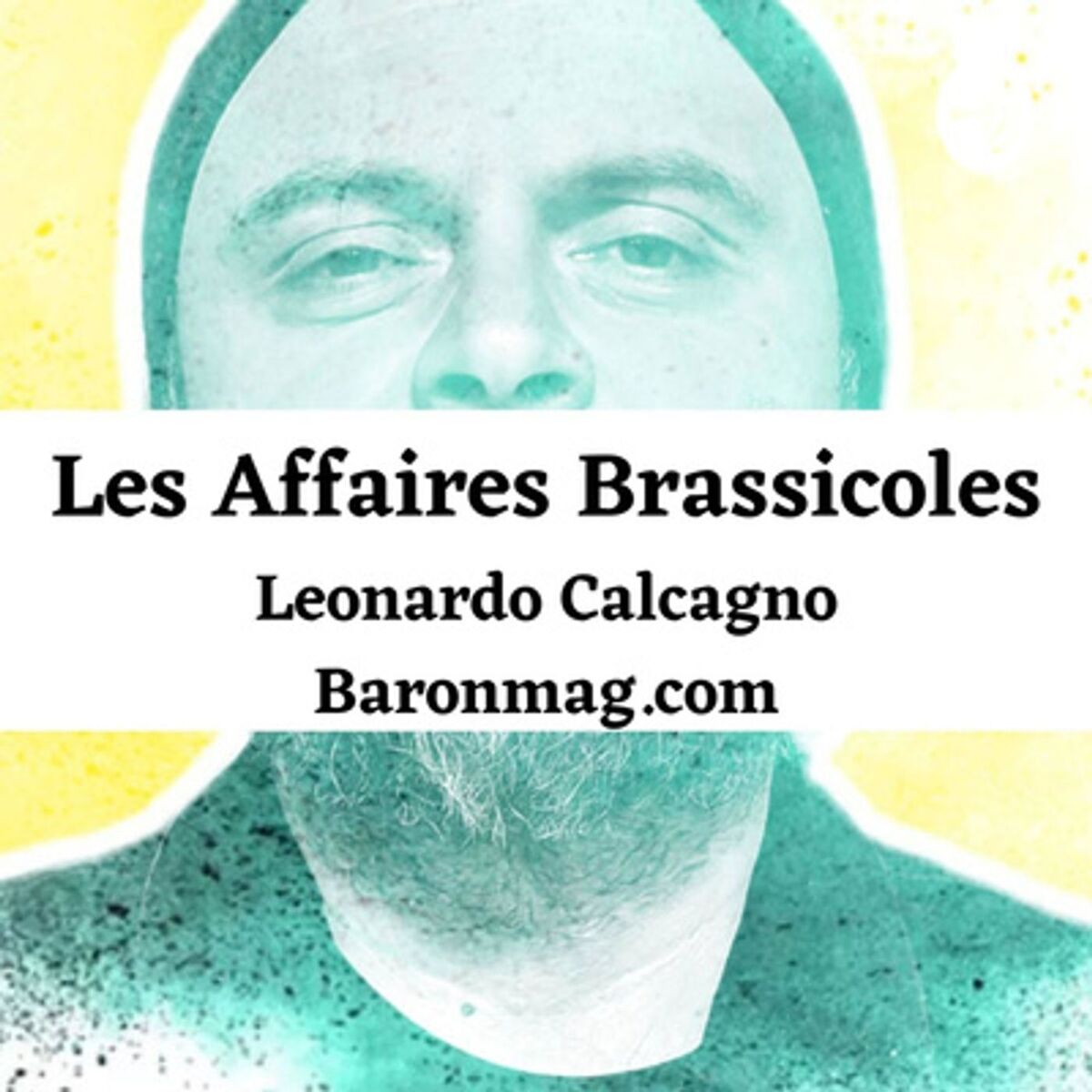 Show cover of Les Affaires Brassicoles