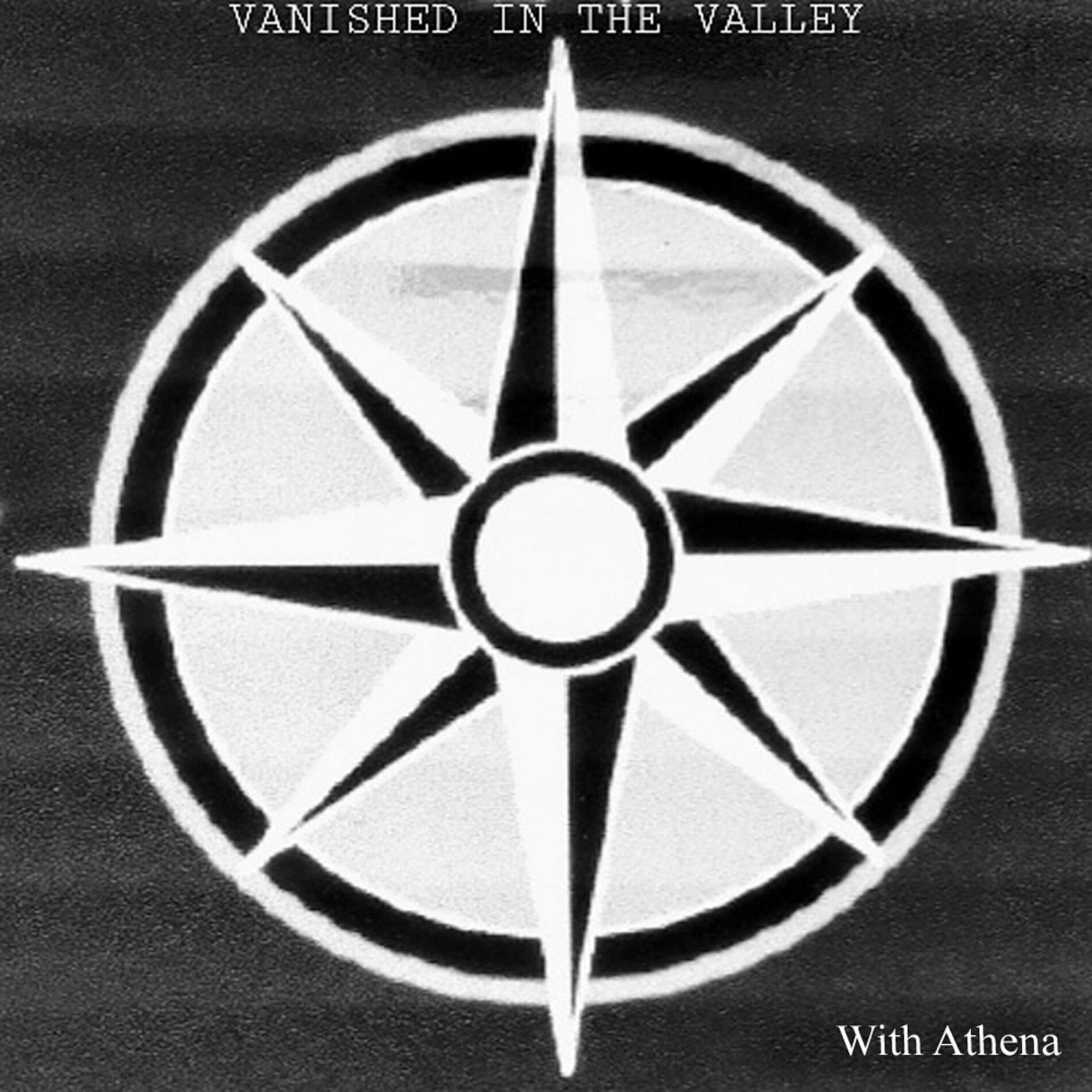 Show cover of Vanished in the Valley