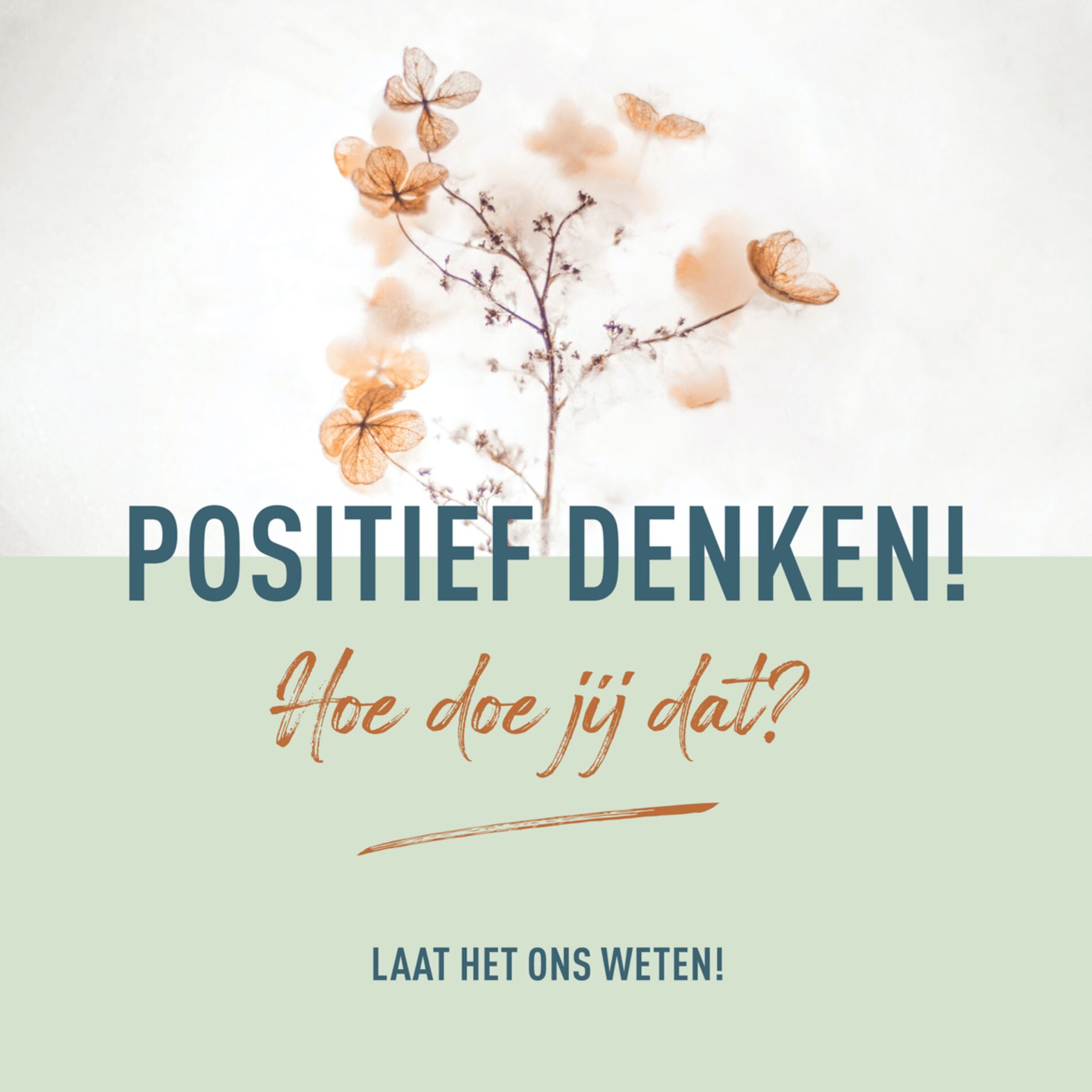 Show cover of Positief denken! Hoe doe jij dat?