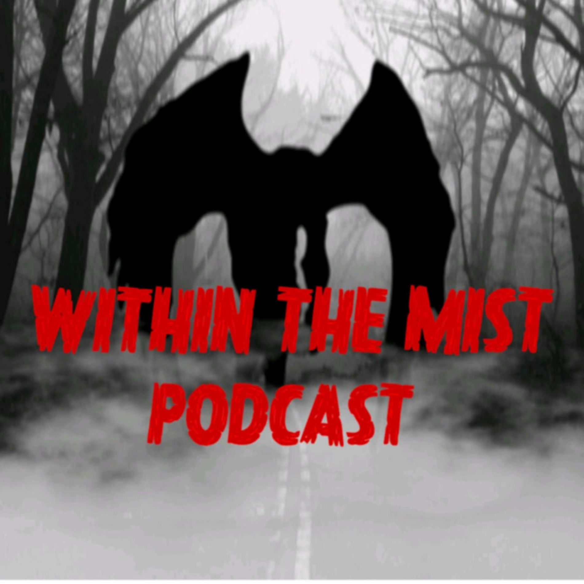 Show cover of Within The Mist