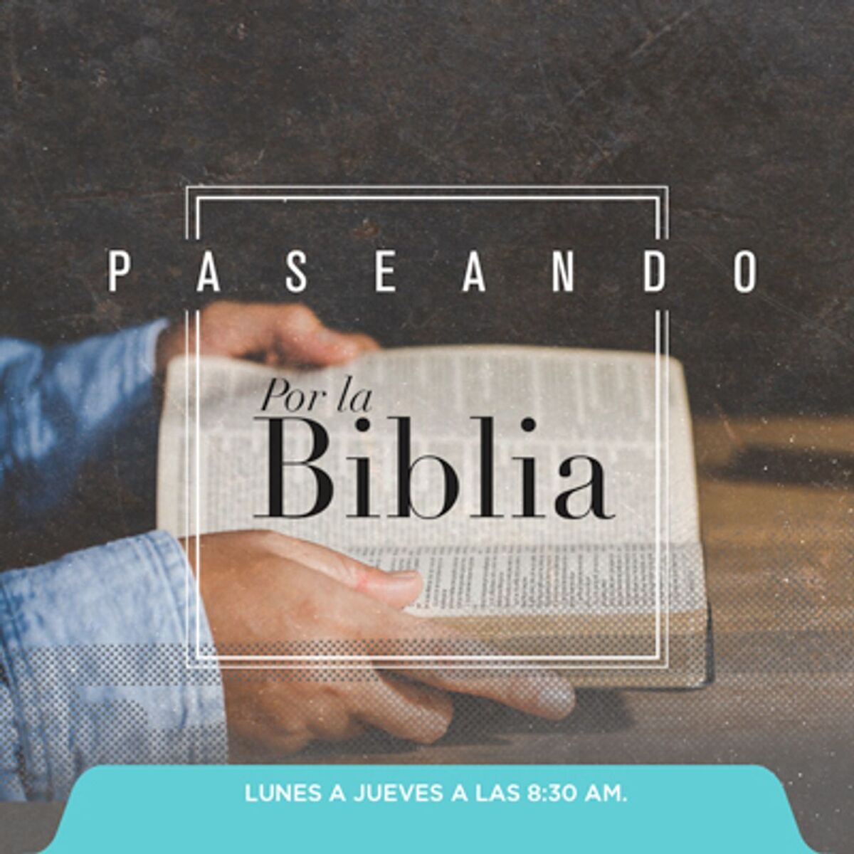 Show cover of Paseando por la biblia