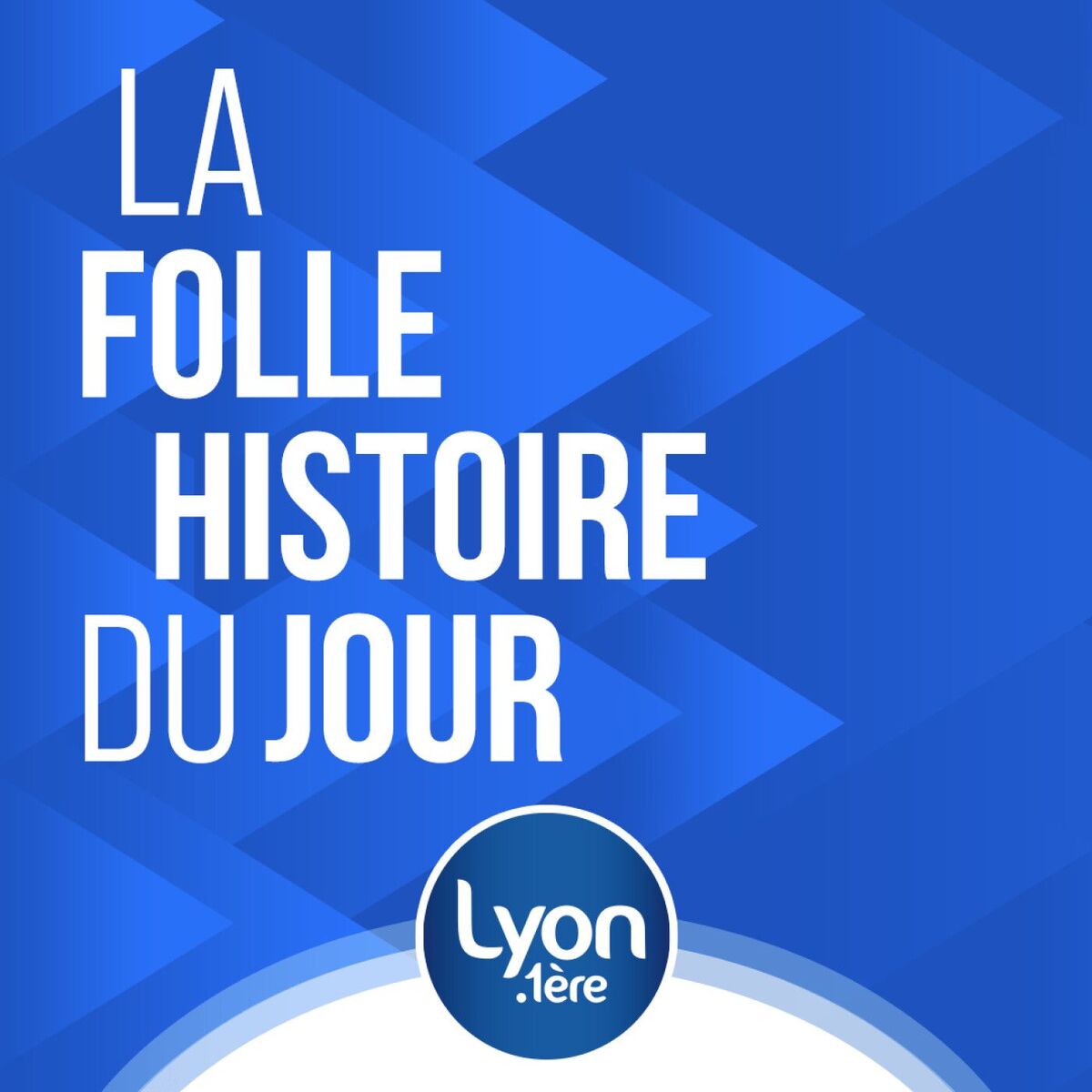 Show cover of INSOLITE : LA FOLLE HISTOIRE DU JOUR