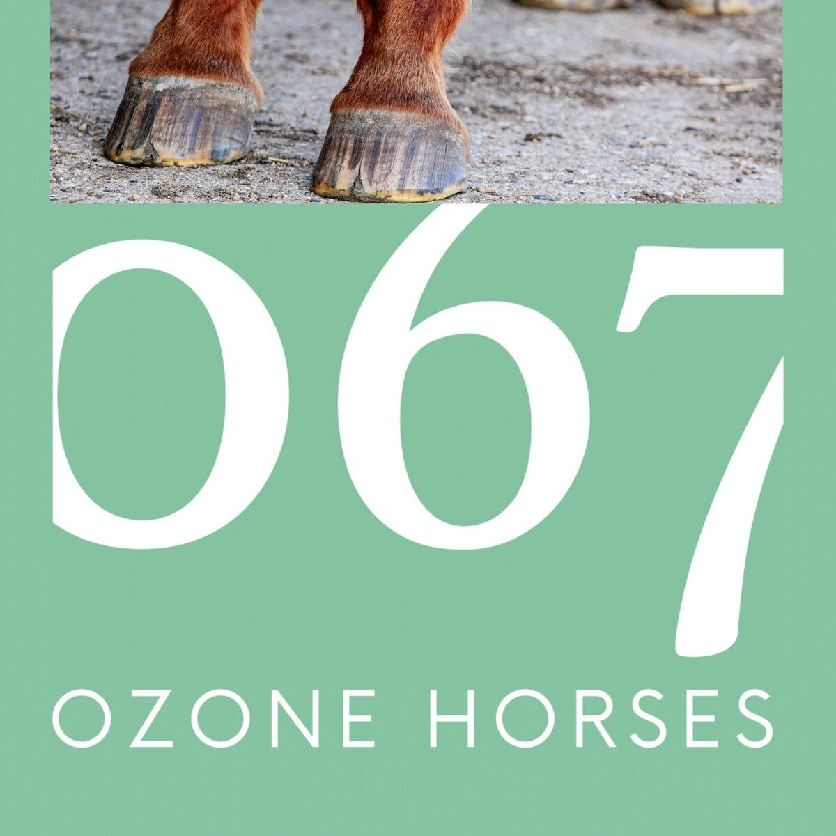 Show cover of Soins des chevaux, produits de soin, innovations et actualités!