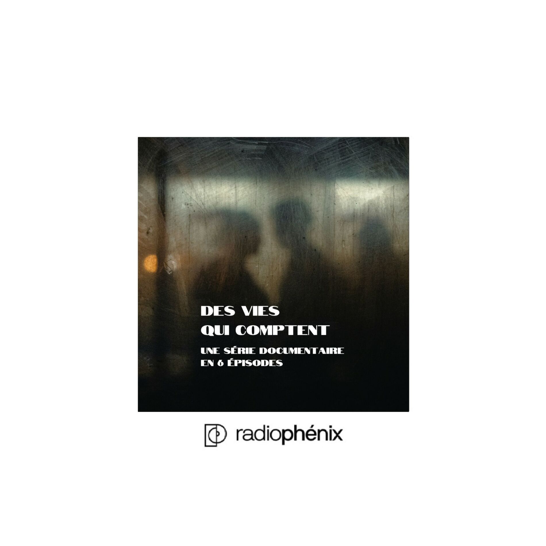 Show cover of Des Vies Qui Comptent