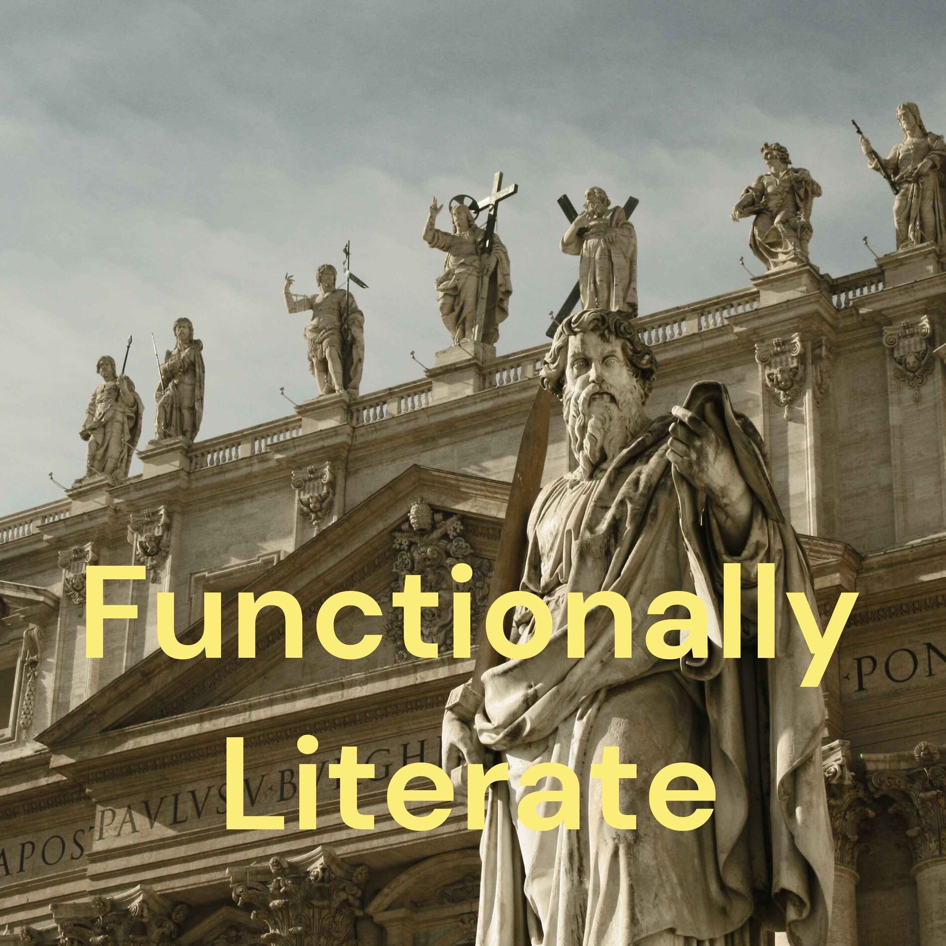 Show cover of Functionally Literate