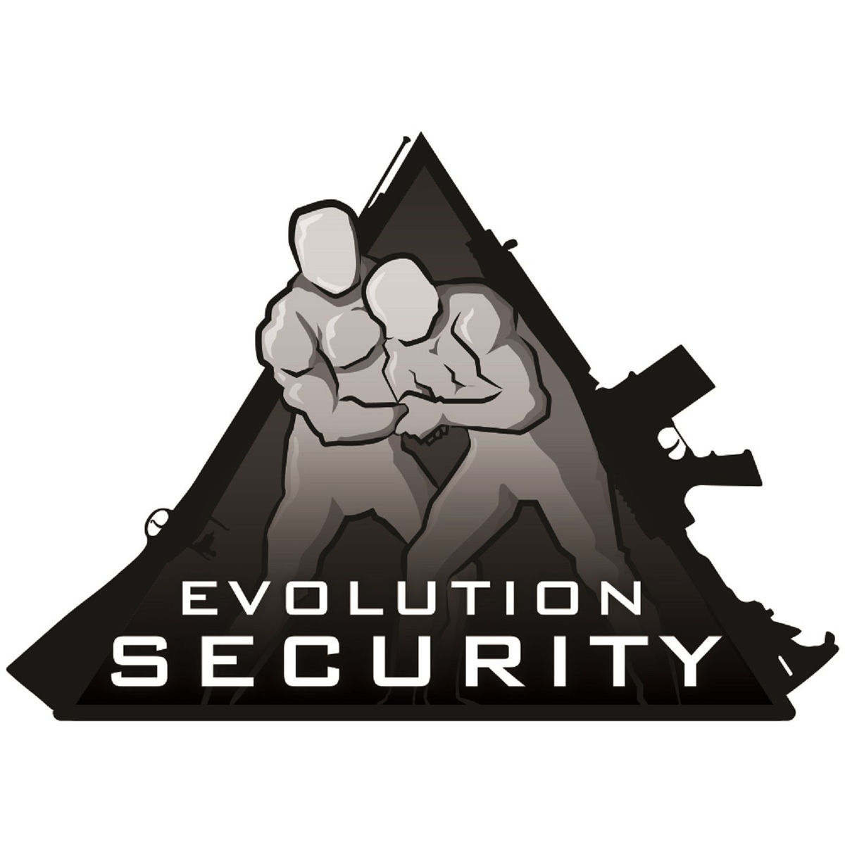 Show cover of Evolution Security Podcast