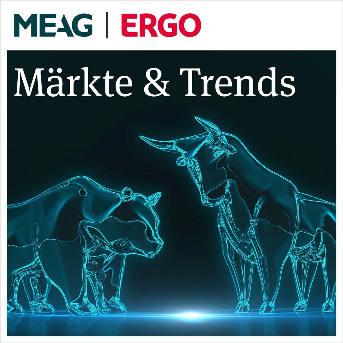Show cover of Märkte & Trends