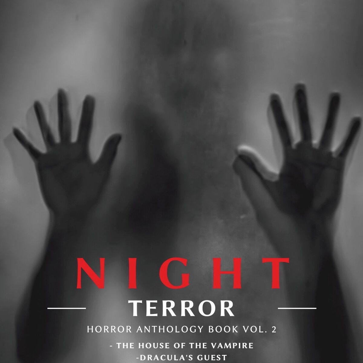 Show cover of Horror Audiobook - Night Terror